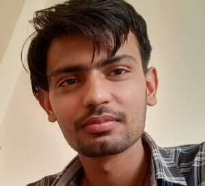 wordpress devloper